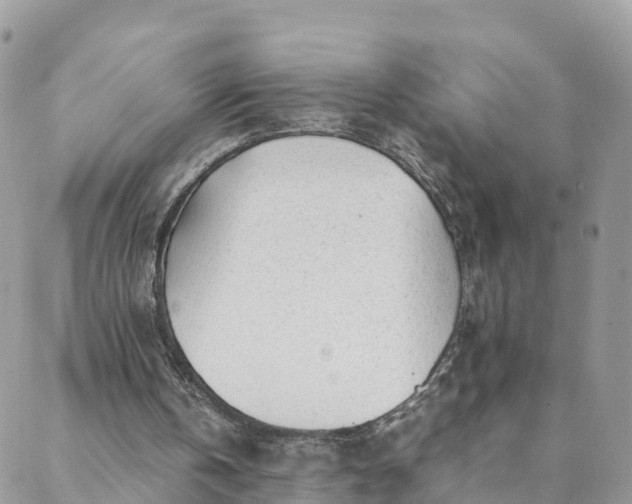 X0000088580146200706011121