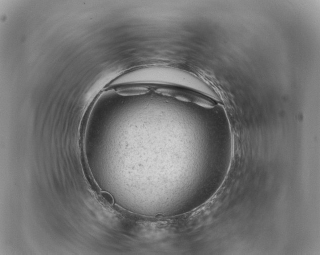 X0000088580147200706011121