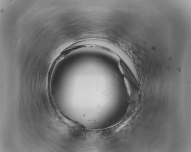 X0000088580148200706011121