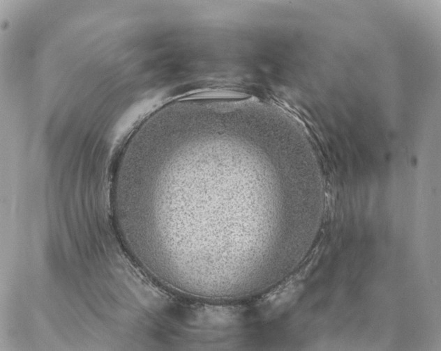 X0000088580149200706011121