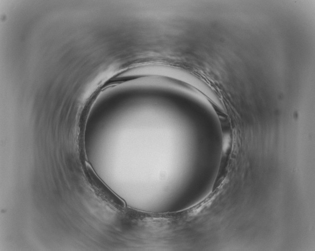 X0000088580150200706011121