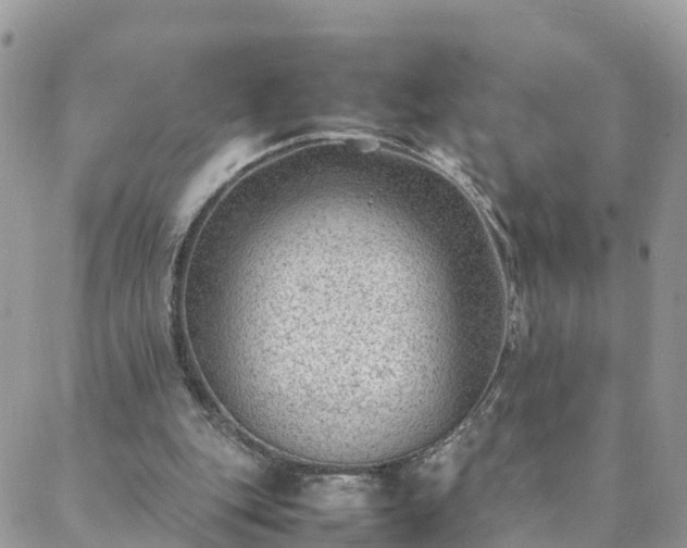 X0000088580151200706011121