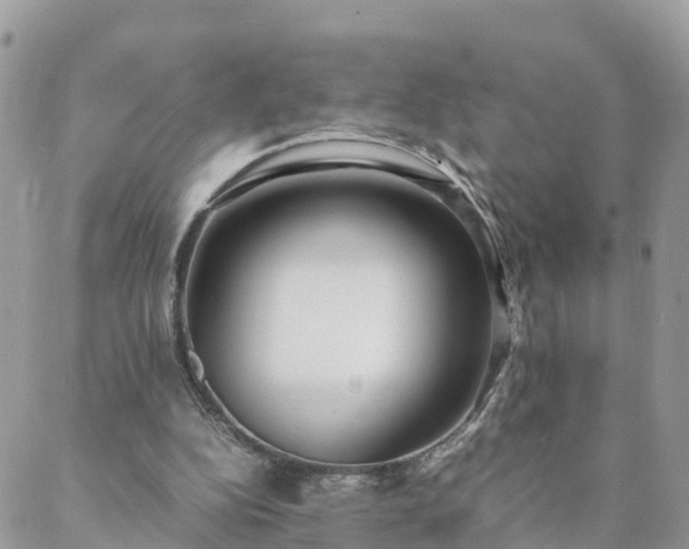 X0000088580152200706011121