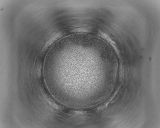 X0000088580153200706011121