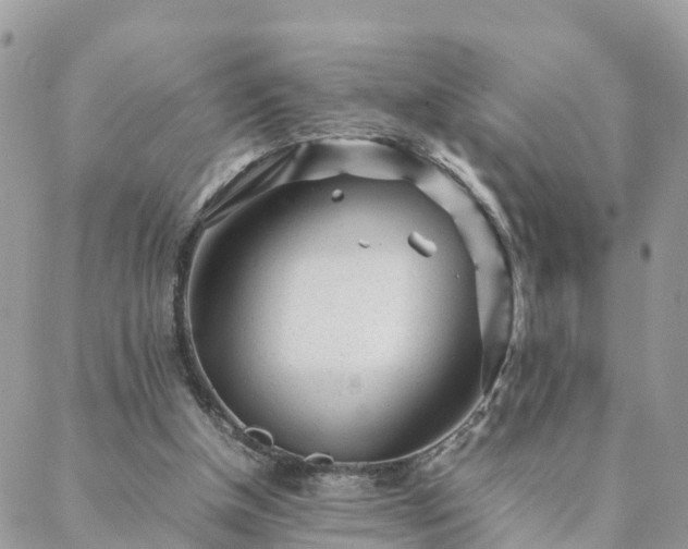 X0000088580154200706011121