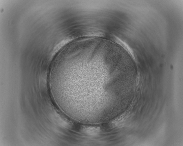 X0000088580155200706011121