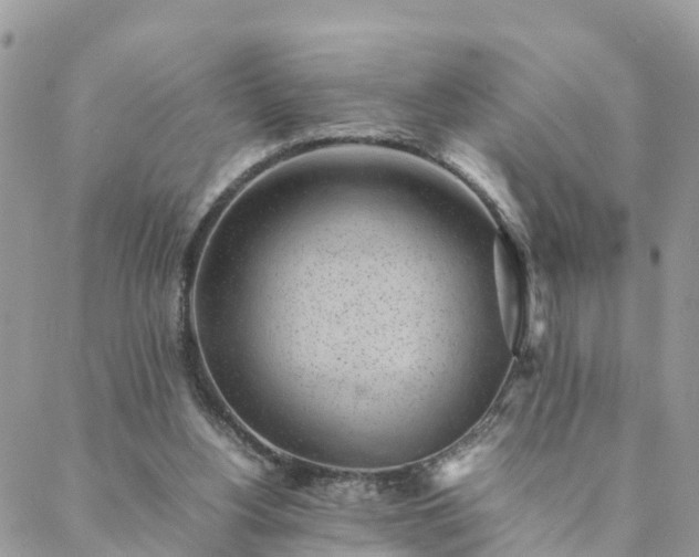 X0000088580156200706011121