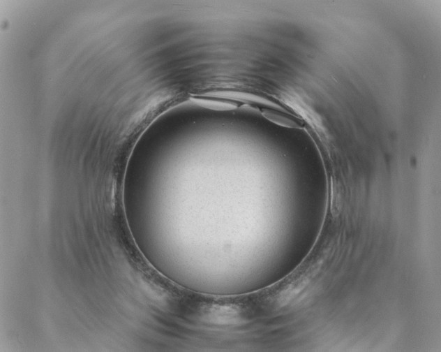 X0000088580157200706011121