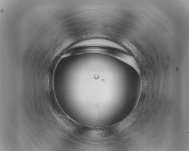 X0000088580158200706011121