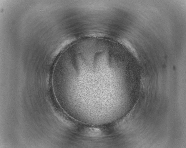 X0000088580159200706011121