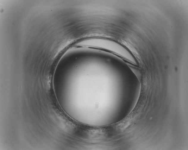 X0000088580160200706011121