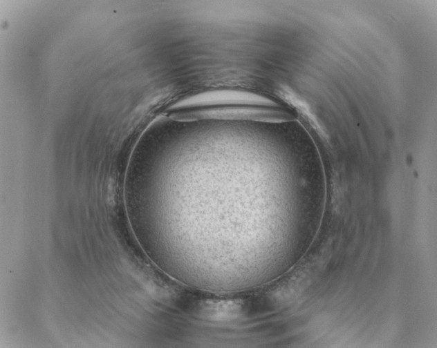 X0000088580161200706011121