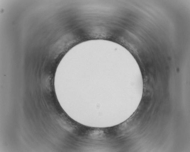 X0000088580162200706011121