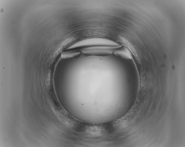 X0000088580163200706011121