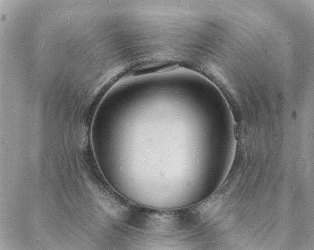 X0000088580164200706011121