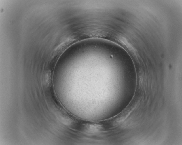 X0000088580165200706011121