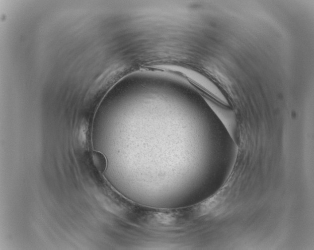 X0000088580166200706011121