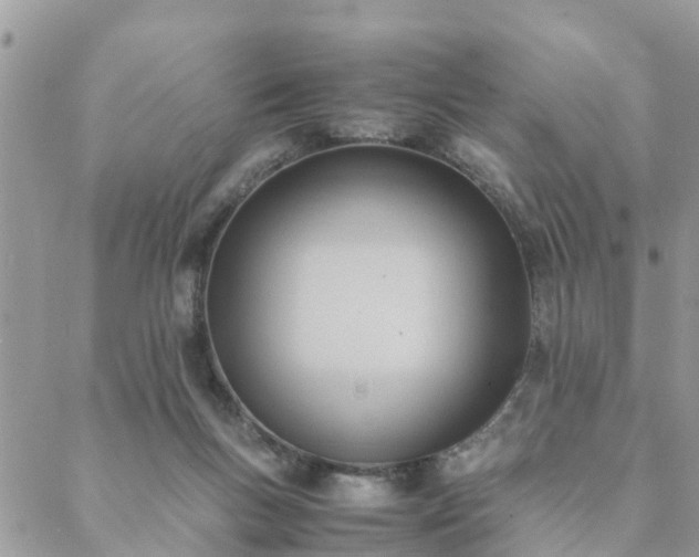 X0000088580167200706011121