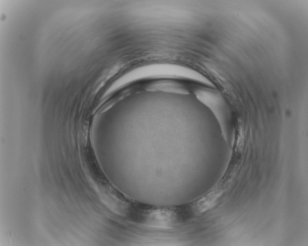 X0000088580168200706011121