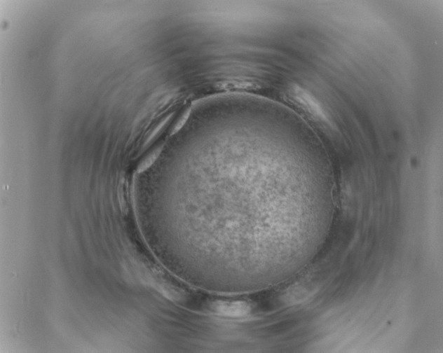 X0000088580169200706011121