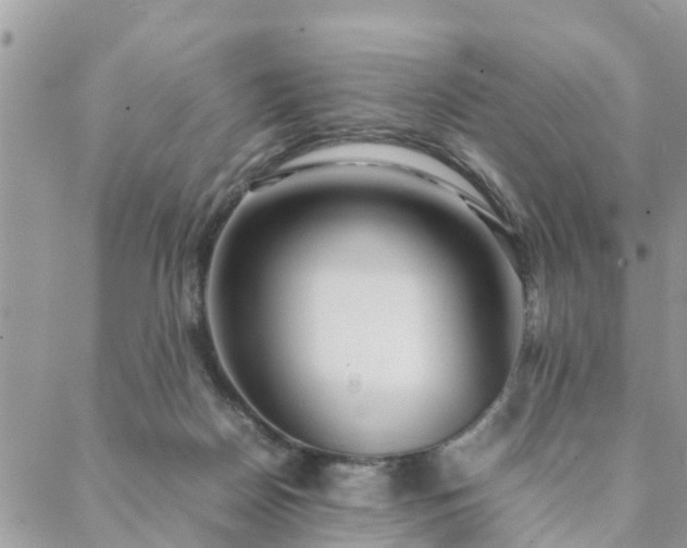 X0000088580170200706011121