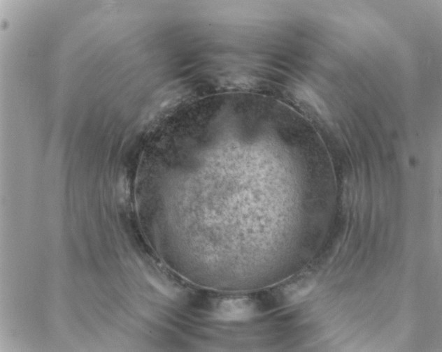 X0000088580173200706011122