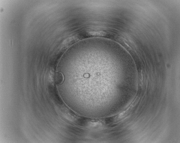 X0000088580175200706011122