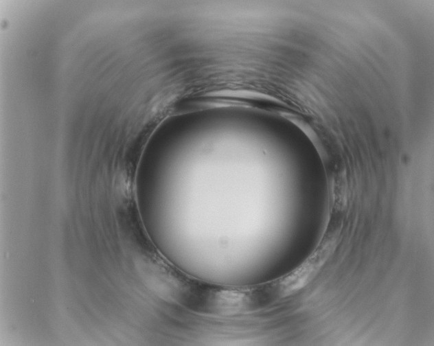 X0000088580176200706011122