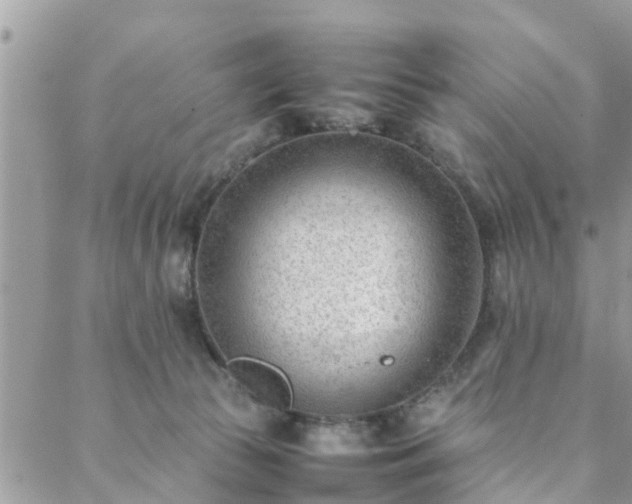 X0000088580177200706011122