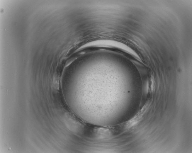 X0000088580180200706011122