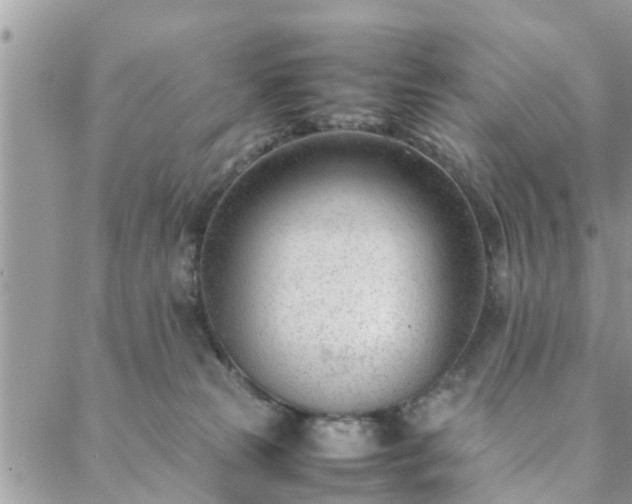 X0000088580181200706011122