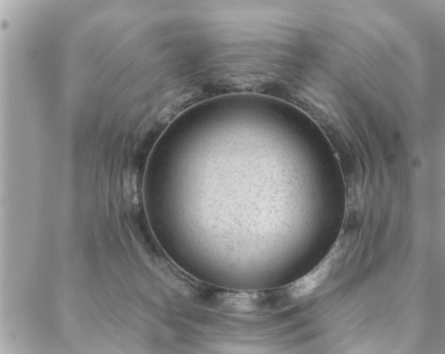 X0000088580182200706011122