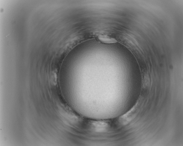 X0000088580183200706011122