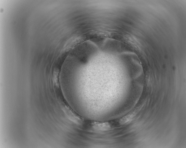 X0000088580185200706011122