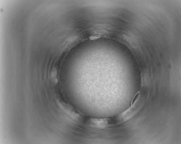 X0000088580187200706011122