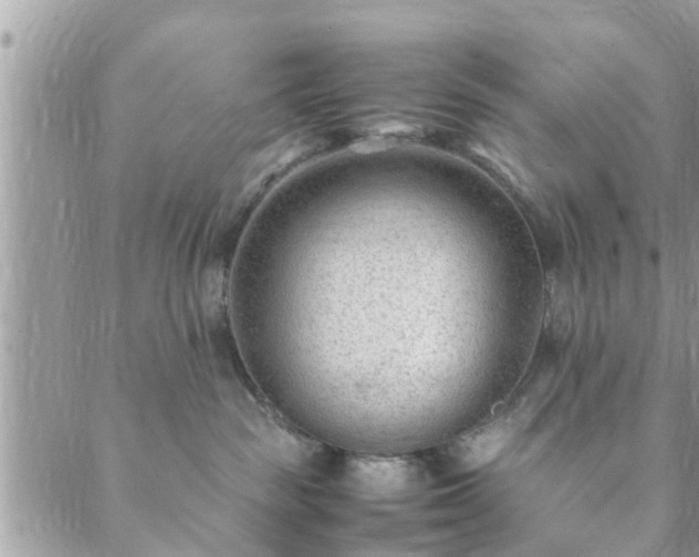 X0000088580189200706011122