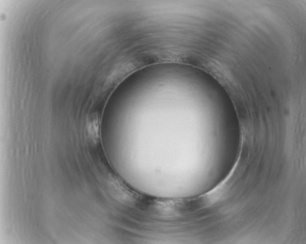 X0000088580190200706011122