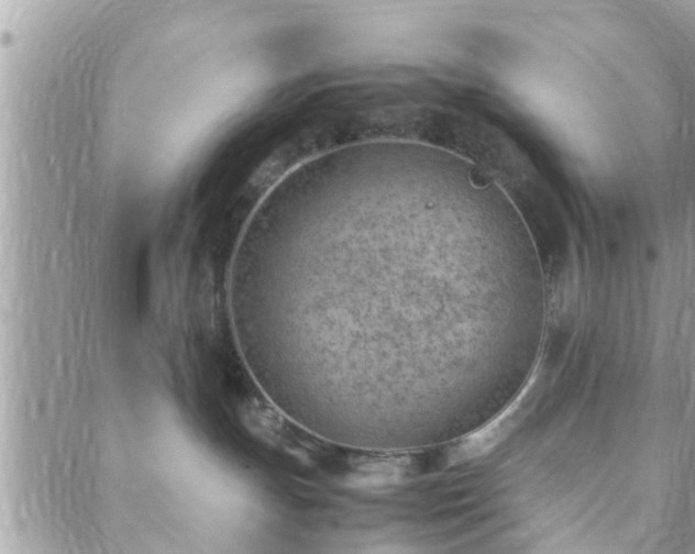 X0000088580191200706011122