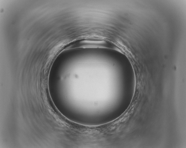 X0000088580193200706011121