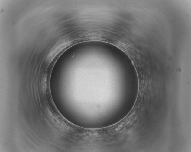 X0000088580194200706011121