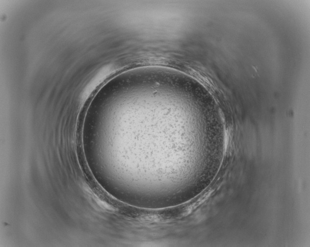 X0000088580195200706011121