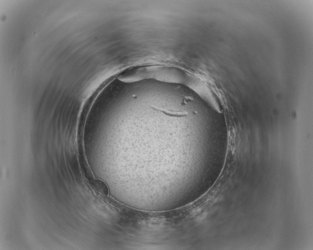 X0000088580196200706011121