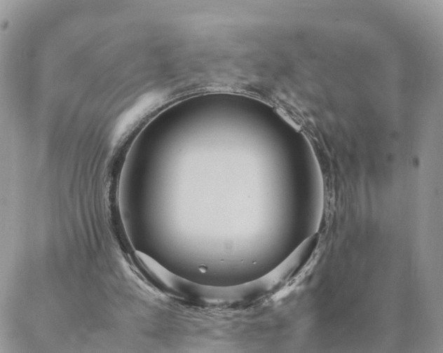 X0000088580197200706011121