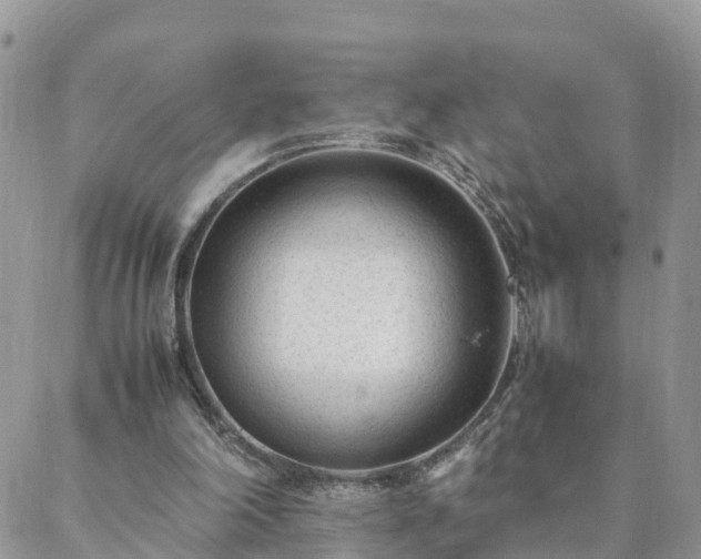 X0000088580198200706011121