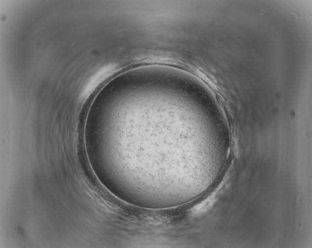 X0000088580199200706011121