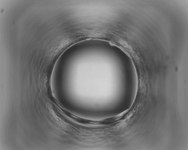 X0000088580201200706011121