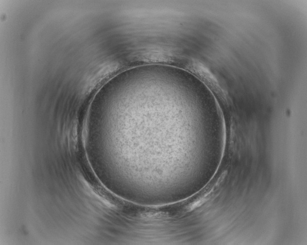 X0000088580202200706011121