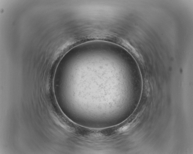 X0000088580203200706011121