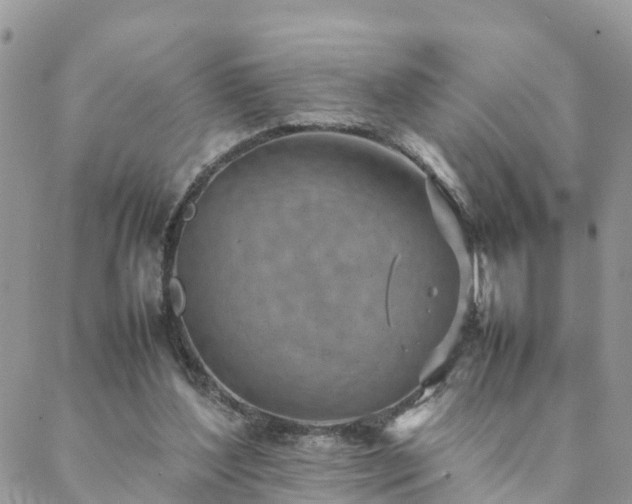 X0000088580204200706011121