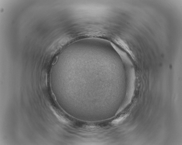 X0000088580205200706011121